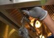Cleaning Kitchen Exhaust for Nambucca Heads Venues with Seasonal Highs