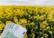 Finance for agriculture that considers the entire paddock