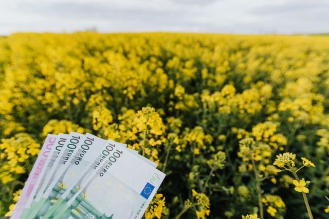 Finance for agriculture that considers the entire paddock