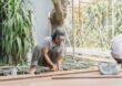 Building a Deck in Dandenong: What the Planning Rules Say and What Good Builders Do Beyond Them?